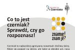 Co to jest czerniak? Sprawdź, czy go rozpoznasz!